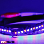  Светодиодная лента SMD 3528 (240 светодиодов) 1 красный + 2 синий