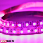  Светодиодная лента SMD 3528 (120 светодиодов) пурпурный